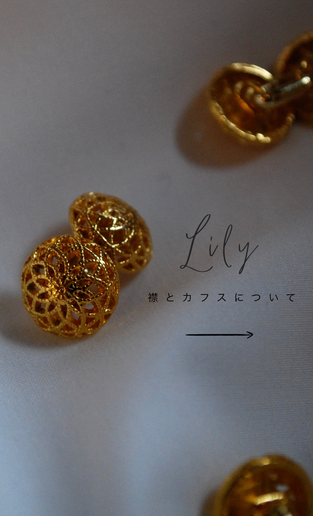 LILY(リリー) 《再入荷》