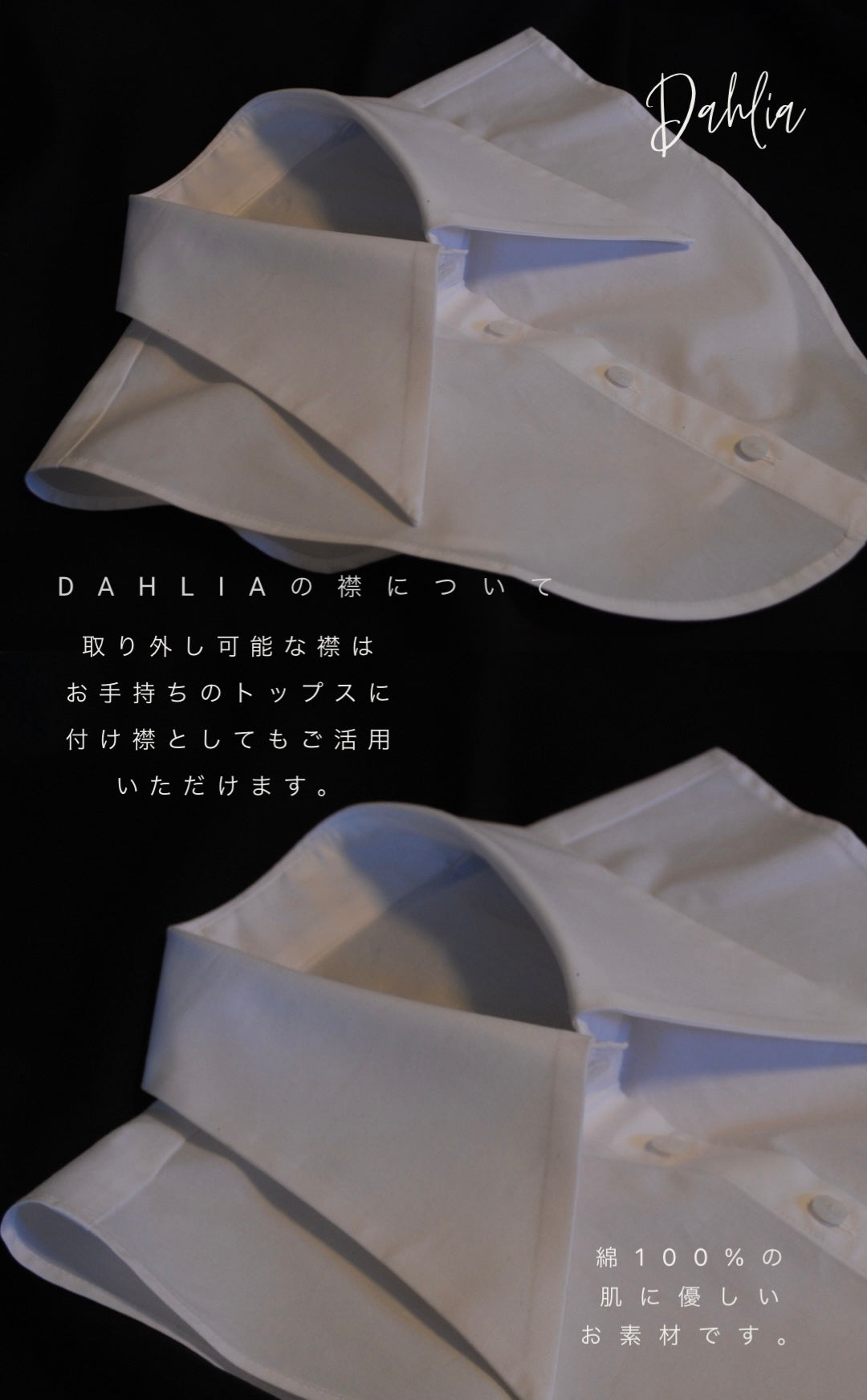 DAHLIA(ダリア) 《再入荷》