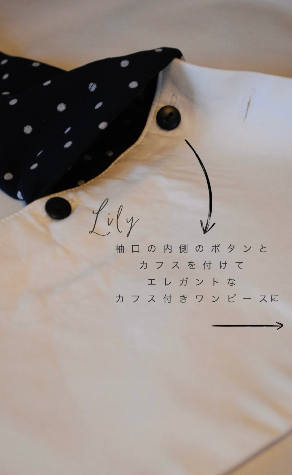 LILY(リリー) 《再入荷》